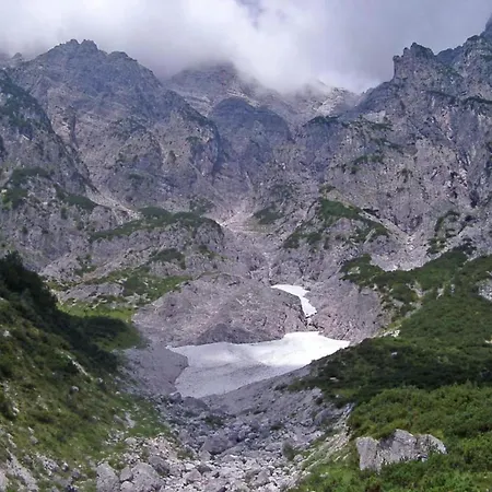 In Near The Area