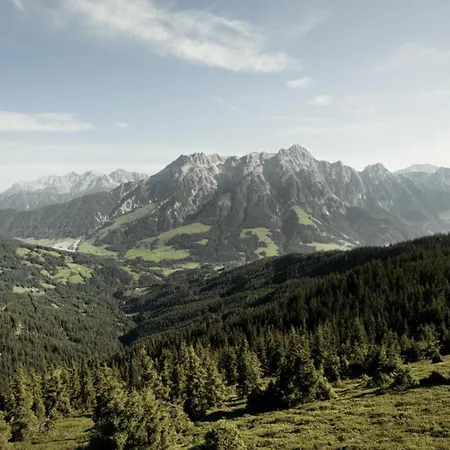 Appartement In Near Slopes